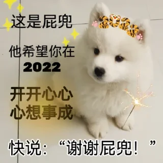 😉 萨摩耶(Samoyed) & more by @momo_li ⭐️, Telegram sticker 16 of 120