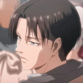 𝐋𝐞𝐯𝐢 𝐀𝐜𝐤𝐞𝐫𝐦𝐚𝐧 @anime_tikel01
