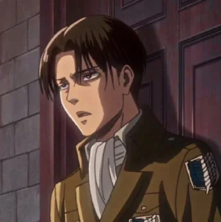 𝐋𝐞𝐯𝐢 𝐀𝐜𝐤𝐞𝐫𝐦𝐚𝐧 @anime_tikel01