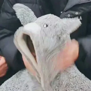 🥕 soobunny - @gabutku, стікер Telegram 7 з 32