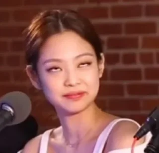 🙎‍♀ BLACKPINK in ur area 🤡, стікер Telegram 15 з 70