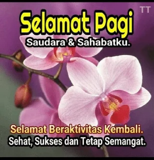 🌟 sabinimut:: @sfgembul, sticker Telegram 15 sur 106