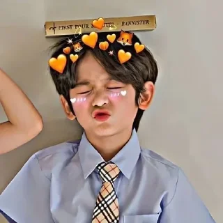 🦋 YASH THAKUR [|🇮🇳|]'s, стикер Telegram 14 из 30