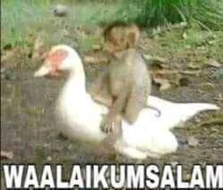 😊 Stiker bapak aku, стікер Telegram 19 з 80