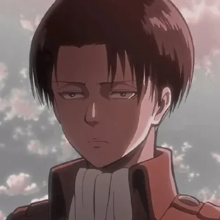 🤎 LeviAckerman by; @rexakatsuki_bot, Telegram sticker 19 of 65