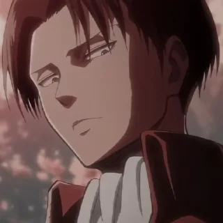 🤎 LeviAckerman by; @rexakatsuki_bot, Telegram sticker 17 of 65