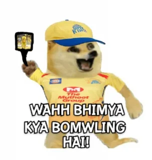 🤩 @stickersbag ipl memes😎, стікер Telegram 11 з 80