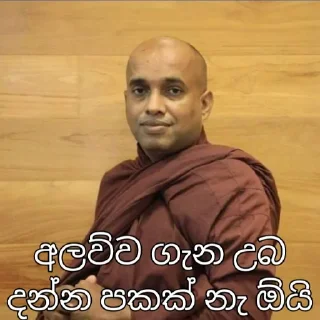 🌸 අලව්ව, стікер Telegram 23 з 26