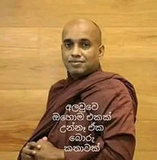 🌸 අලව්ව, стікер Telegram 2 з 26