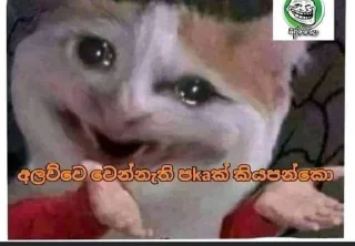 🌸 අලව්ව, стікер Telegram 5 з 26