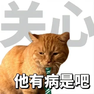🤔 勇敢貓貓不怕困難, Telegram sticker 19 of 46