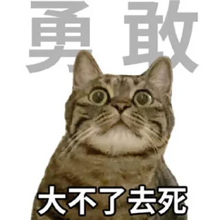 😁 勇敢貓貓不怕困難, Telegram sticker 5 of 46