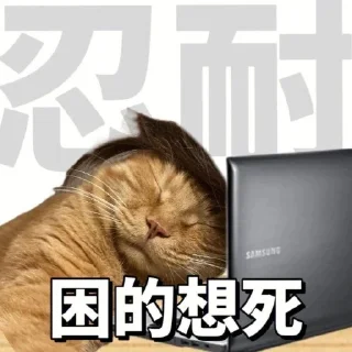 💤 勇敢貓貓不怕困難, Telegram sticker 12 of 46