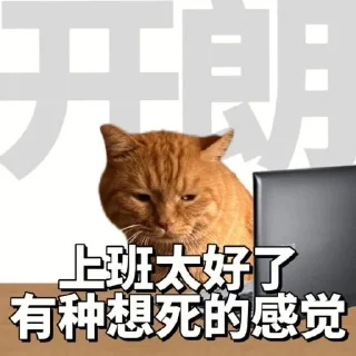 😆 勇敢貓貓不怕困難, Telegram sticker 14 of 46