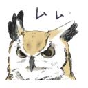 😌 Owl, Telegram sticker 7 of 107