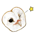 ✨ Owl, Telegram sticker 15 of 107