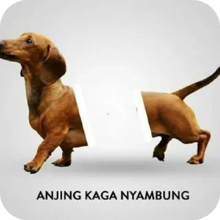 🧸 azell punya!!!, sticker Telegram 15 sur 109