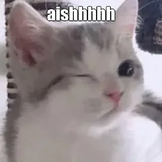 😜 Cute jennie, стикер Telegram 20 из 26