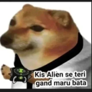 🤔 Almighty Pussy👁️👄👁️, стікер Telegram 13 з 93