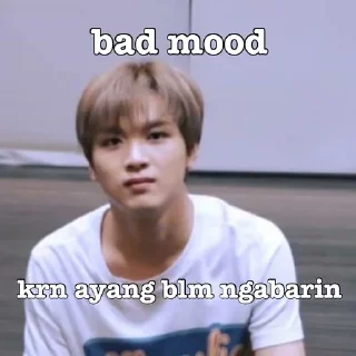 👍 haechan ayang - @stickernct, стикер Telegram 7 из 29