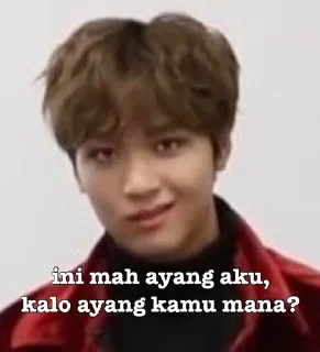 👍 haechan ayang - @stickernct, стикер Telegram 1 из 29