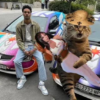 🤣 @Thief_Cattt $NAMI_KOL, стікер Telegram 11 з 102