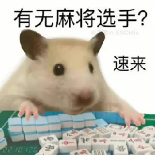💸 鼠鼠的表情包合集2 @shushukeainie, sticker Telegram 24 sur 94