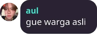punya aul