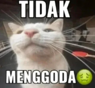 🤤 duar kontol, стикер Telegram 10 из 16