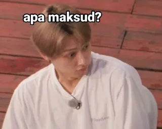 meme sebong punya arata