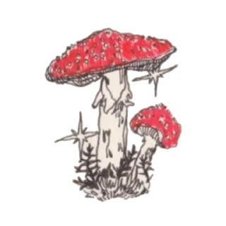 🍄 @cattosday 𖧧 .⋆, sticker Telegram 11 sur 35