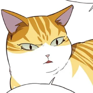 🐈 ㅤ      @mvssic ` @greedfull, стикер Telegram 20 из 70