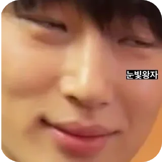 🤲 byeon wooseok, sticker Telegram 5 sur 30