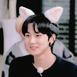 🍚 jungwon, стікер Telegram 12 з 65