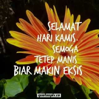 🌻 rndm teks mrip fb @superficiallov, sticker Telegram 11 sur 20