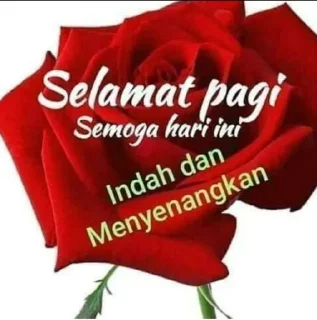 🌹 rndm teks mrip fb @superficiallov, sticker Telegram 13 sur 20