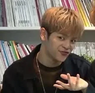 🐻 KIM WOOJIN x @ESAPUMPKINS, sticker Telegram 21 sur 30