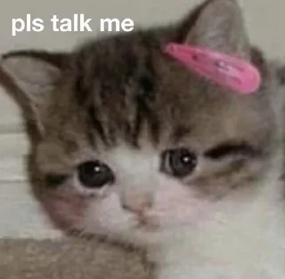 🥺 ShmoHollyHart, Telegram sticker 21 of 75