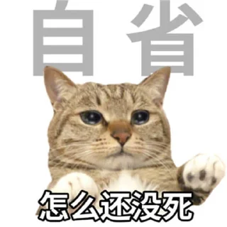 勇敢貓貓不怕困難