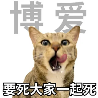 😂 勇敢貓貓不怕困難, стикер Telegram 9 из 46