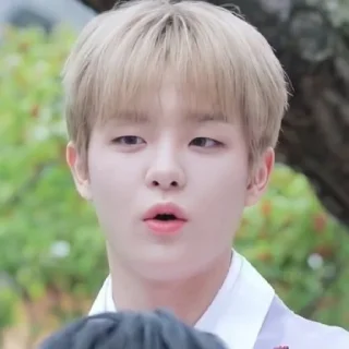 😮 Jihoon，@stickernct., стикер Telegram 10 из 45