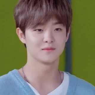 😮 Jihoon，@stickernct., стикер Telegram 22 из 45