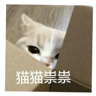 🫣 Ciallo～(∠・ω＜)⌒⭐, стикер Telegram 16 из 70