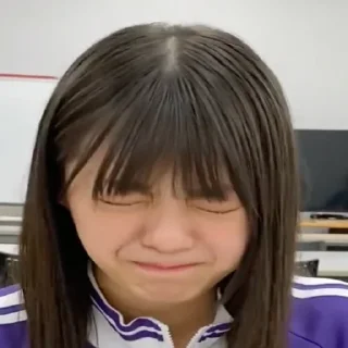 富狗