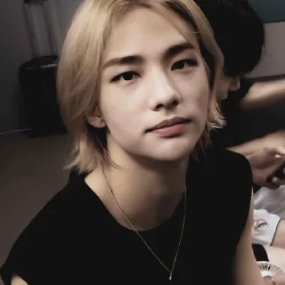 🎳 Hyunjin, 황 ─ ✾ @Shinpoy, sticker Telegram 3 sur 79
