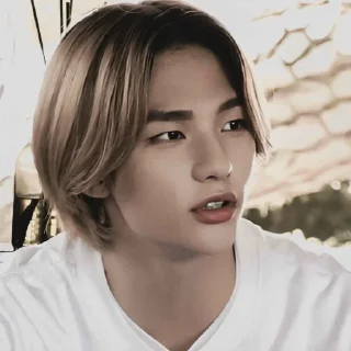 🎳 Hyunjin, 황 ─ ✾ @Shinpoy, sticker Telegram 17 sur 79