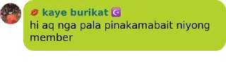 🤩 chi's pack 4, стикер Telegram 10 из 120