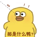 鸭鸭鸭