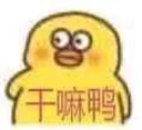 🤨 鸭鸭鸭, стикер Telegram 18 из 25