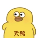 😧 鸭鸭鸭, стикер Telegram 6 из 25